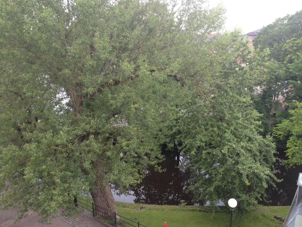 Příroda nedaleko hotelu