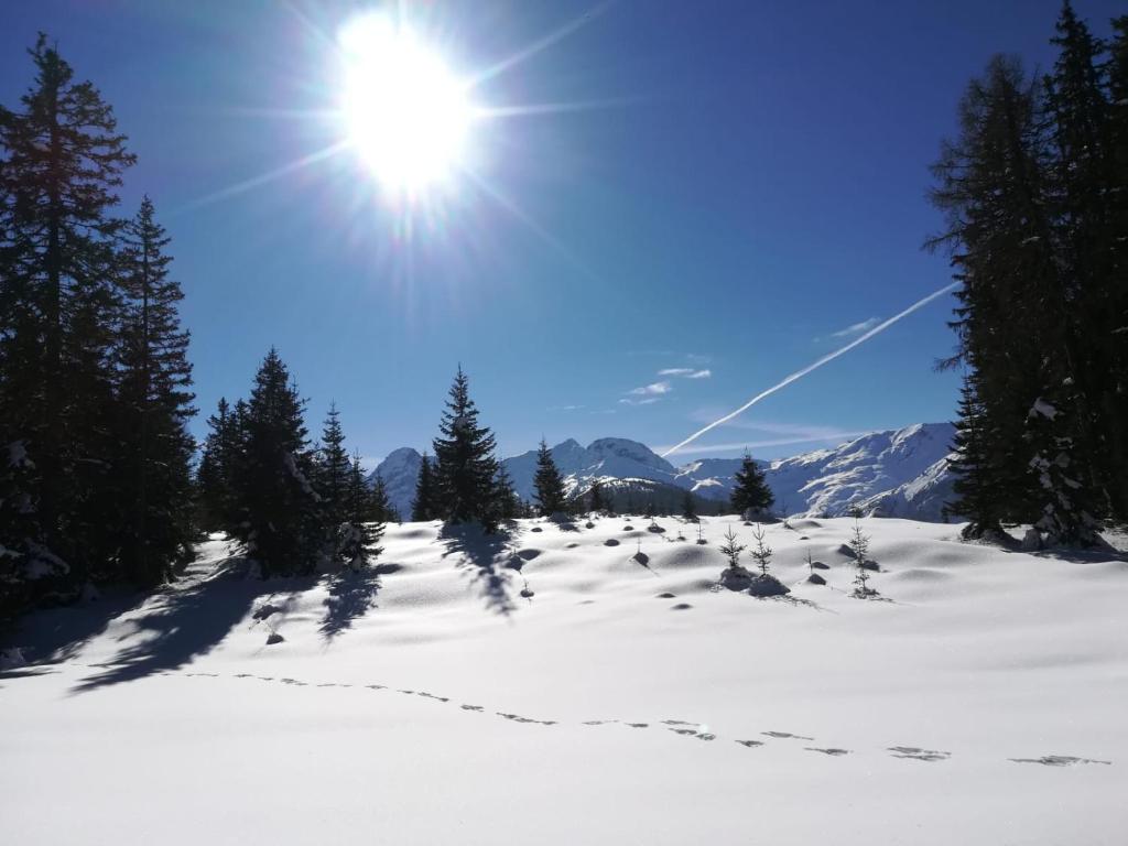 Waldfrieden v zimě