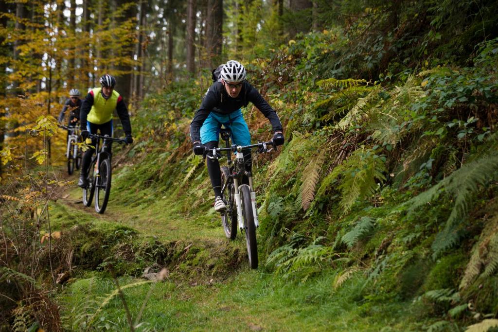 Hosté ubytování Hotel Bären Titisee