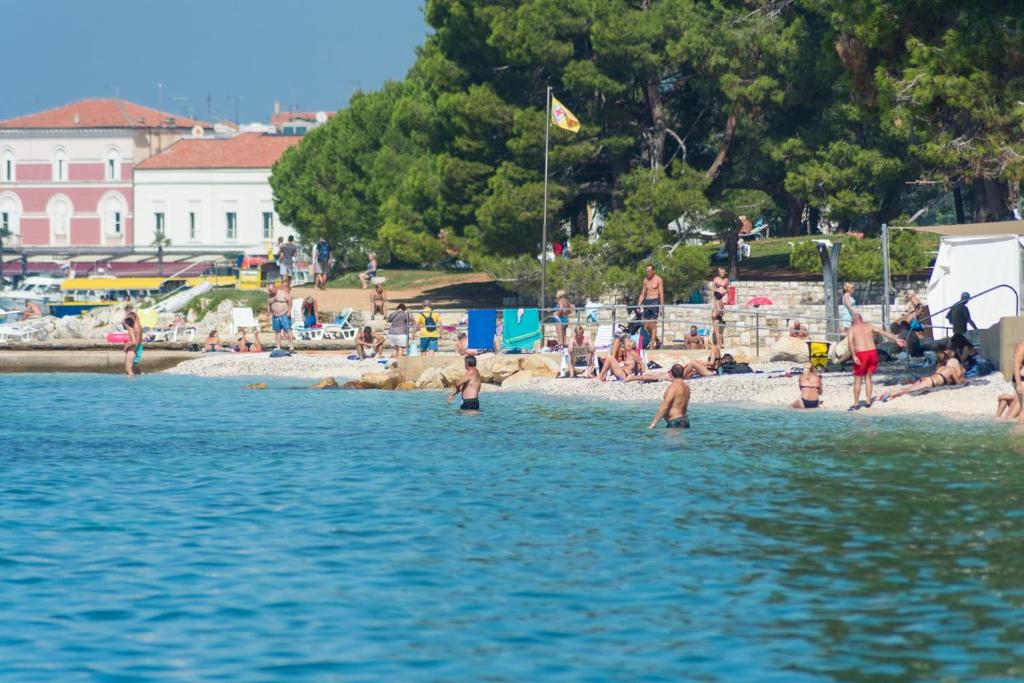 Przyroda w pobliżu tego pensjonatu