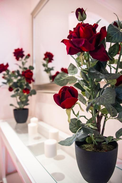a group of red roses in a vase on a counter at Colina Verde Resort in Moncarapacho