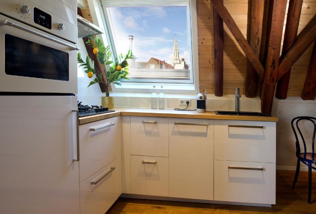 Kuchyň nebo kuchyňský kout v ubytování Haarlem Hotel Suites