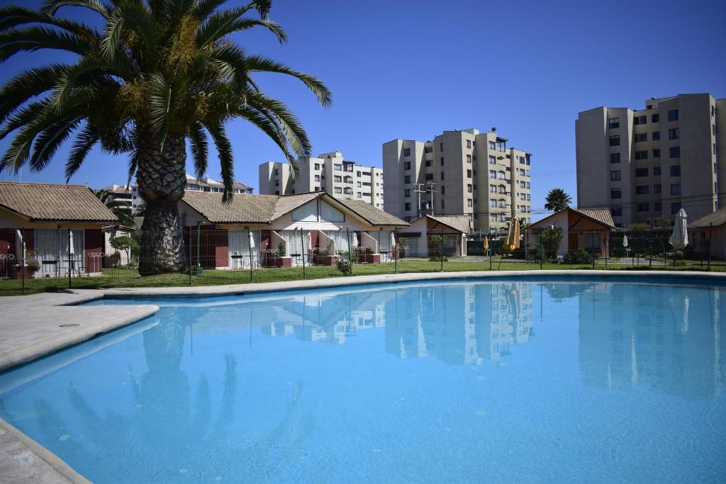 uma grande piscina com uma palmeira e edifícios em Apart Hotel Y Cabanas Vegasur em La Serena