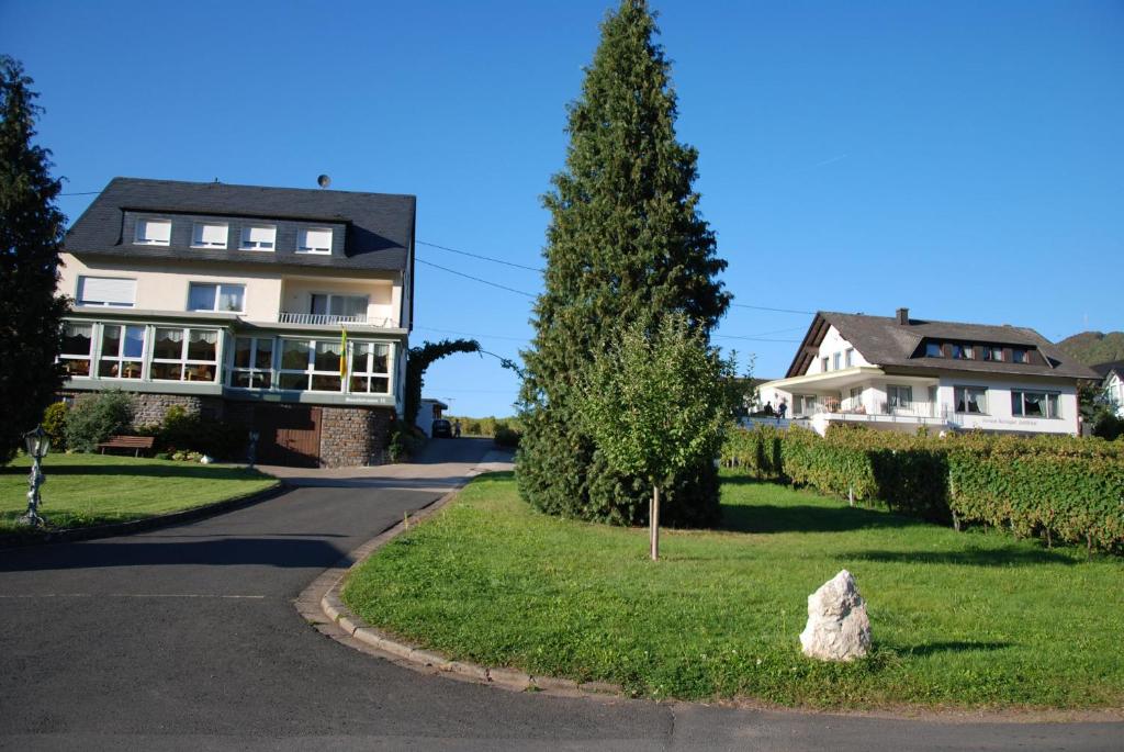 a house on a street with a rock in the grass at Ferienweingut-Liebfried in Nehren