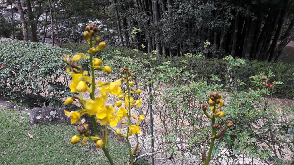  venha curtir a natureza