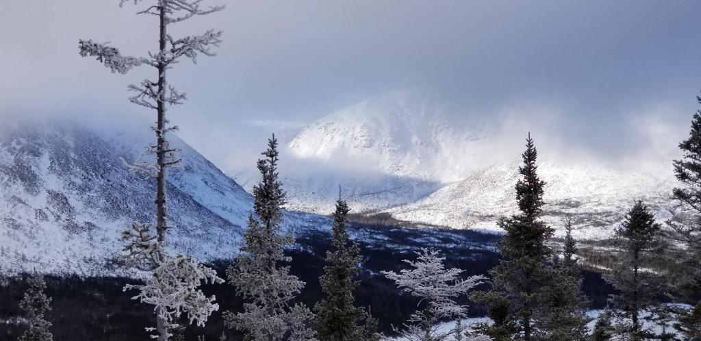 a mountain covered in snow with trees in the foreground at La Maison entre Mer Montagnes in Cap-Chat