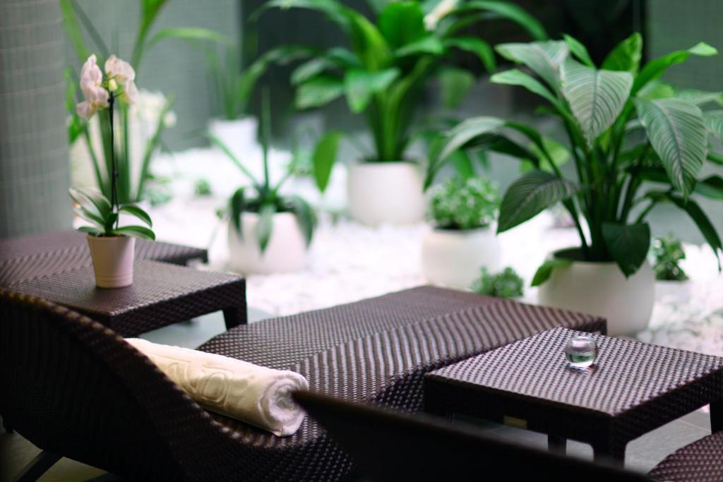 Hotel Aristos - Resim 40