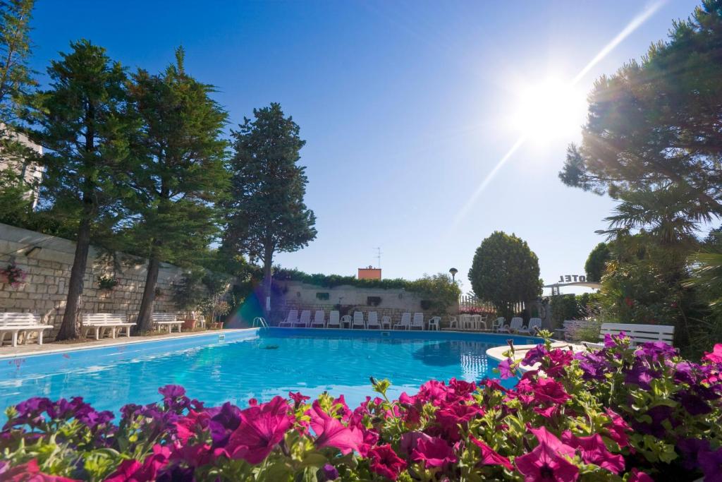 Bazén v ubytování Hotel K2 nebo v jeho okolí