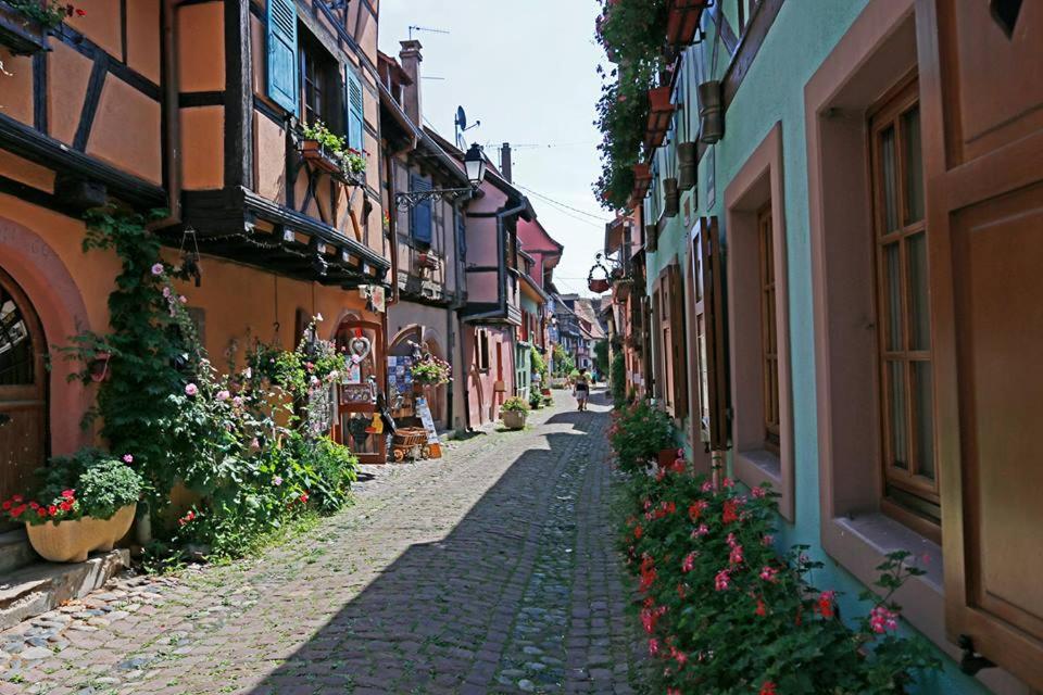 Gîte de charme sur les remparts – photo 15