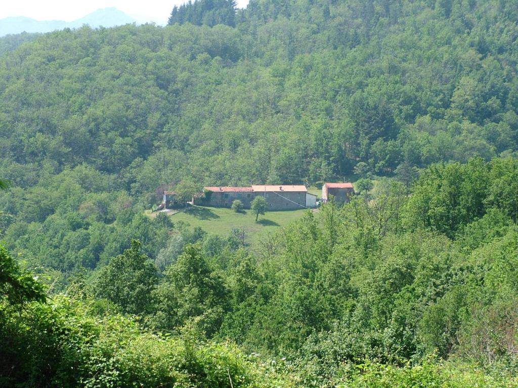 a house in the middle of a hill with trees at Agriturismo Cà del Lupo in Pontremoli