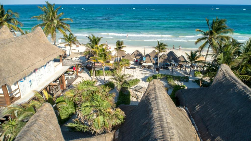 a beach with palm trees and palm trees at Alma Tulum Hotel Boutique in Tulum