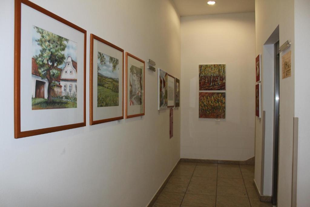 Fotografie z fotogalerie ubytování Hotel Dvorak v Českých Budějovicích