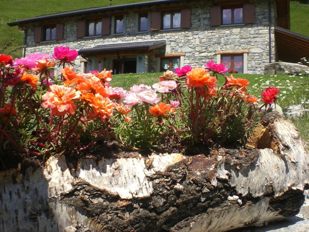 Un bouquet de fleurs devant un bâtiment dans l'établissement Agriturismo Le Radici, à San Fedele Intelvi