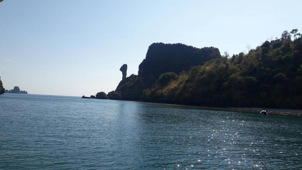 Meechok organic home - 10