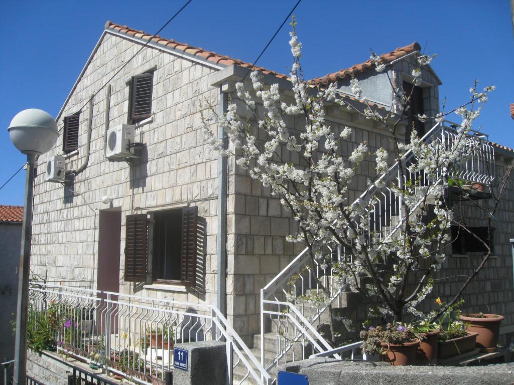 un edificio con un albero da fiore di fronte ad esso di Nikolina Rooms a Dubrovnik