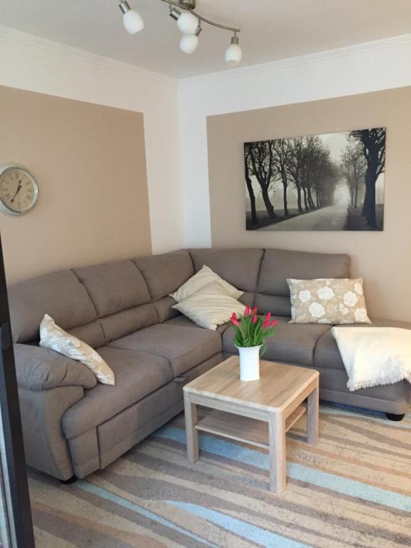 ein Wohnzimmer mit einem Sofa und einem Couchtisch in der Unterkunft Ferienwohnung im Harz in Bad Lauterberg