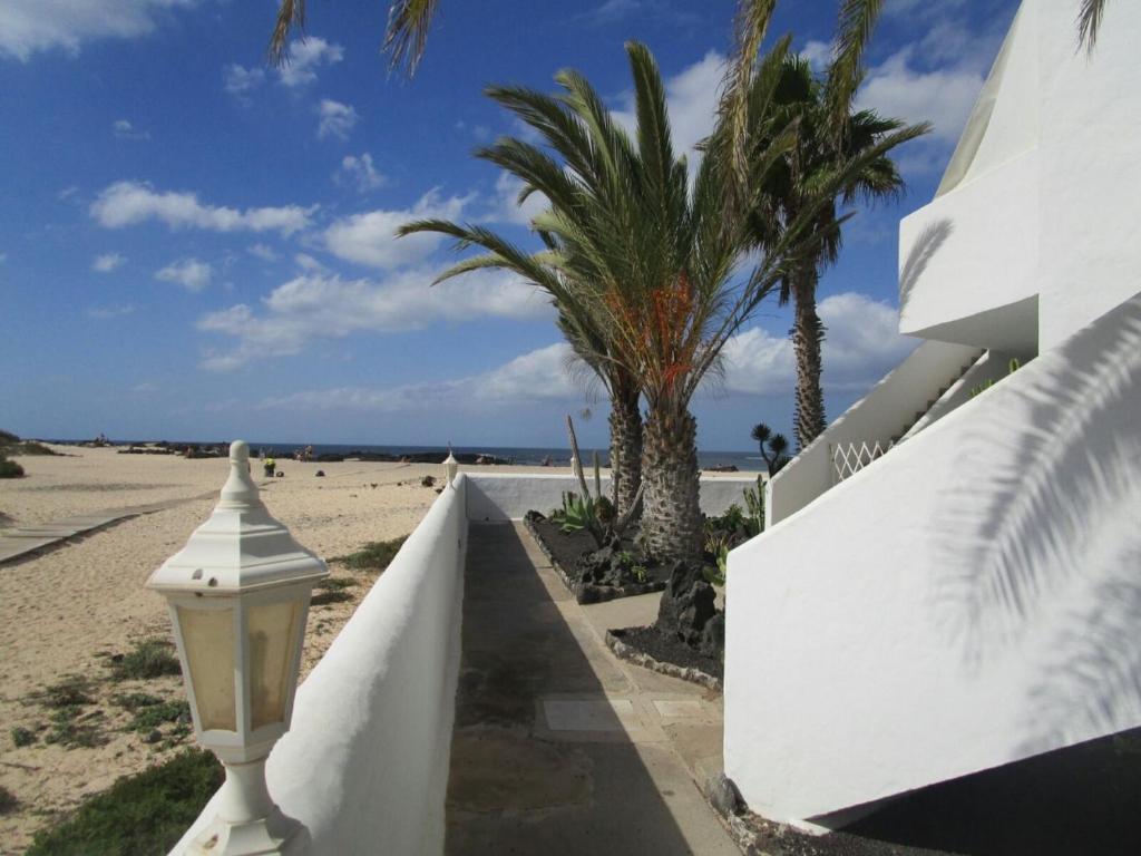 a white wall next to a beach with palm trees at Apartamento Nire Lula en la misma playa in El Cotillo