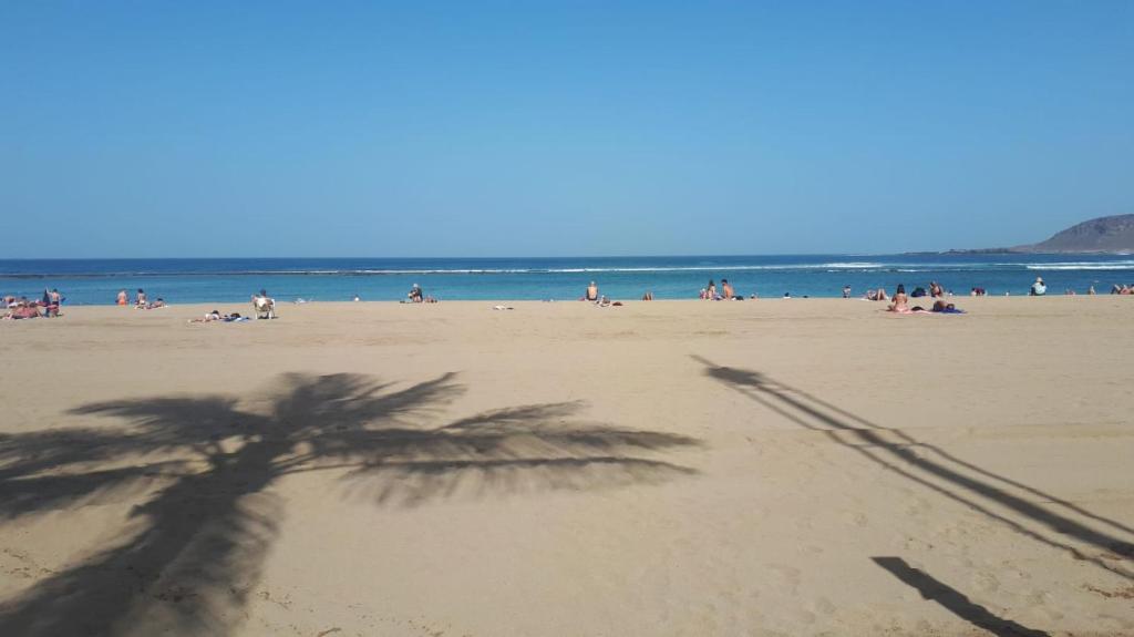 APARTAMENTO PLAYA