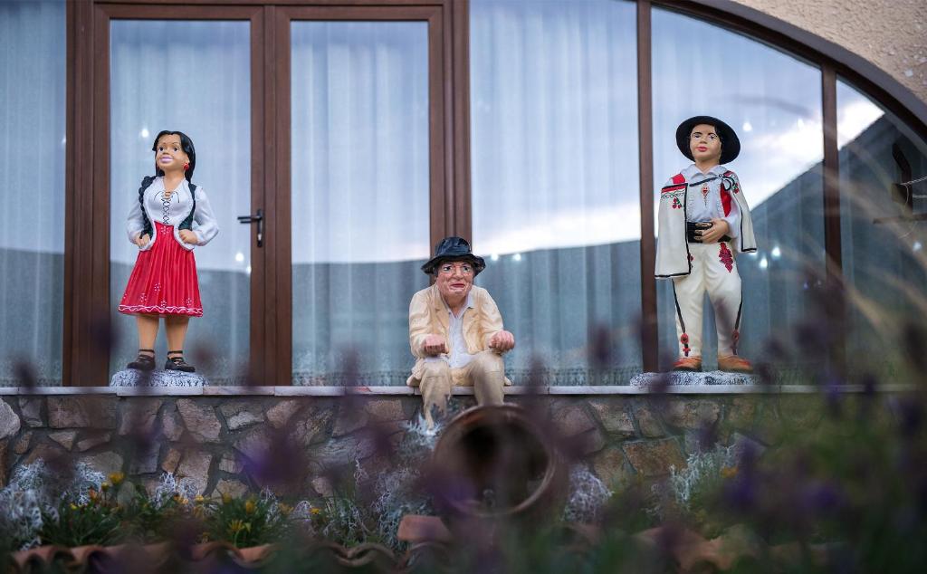 Hosté ubytování Hanul Hora Romaneasca
