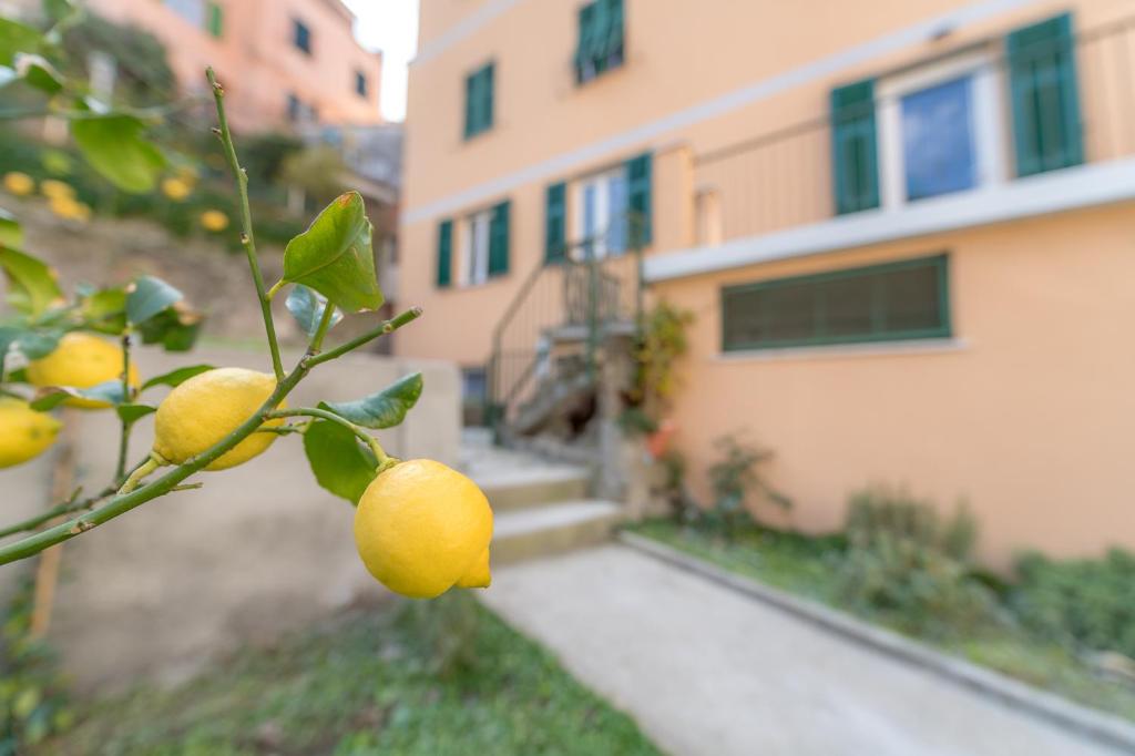 Ogród w obiekcie Il Giardino di Riomaggiore Suite