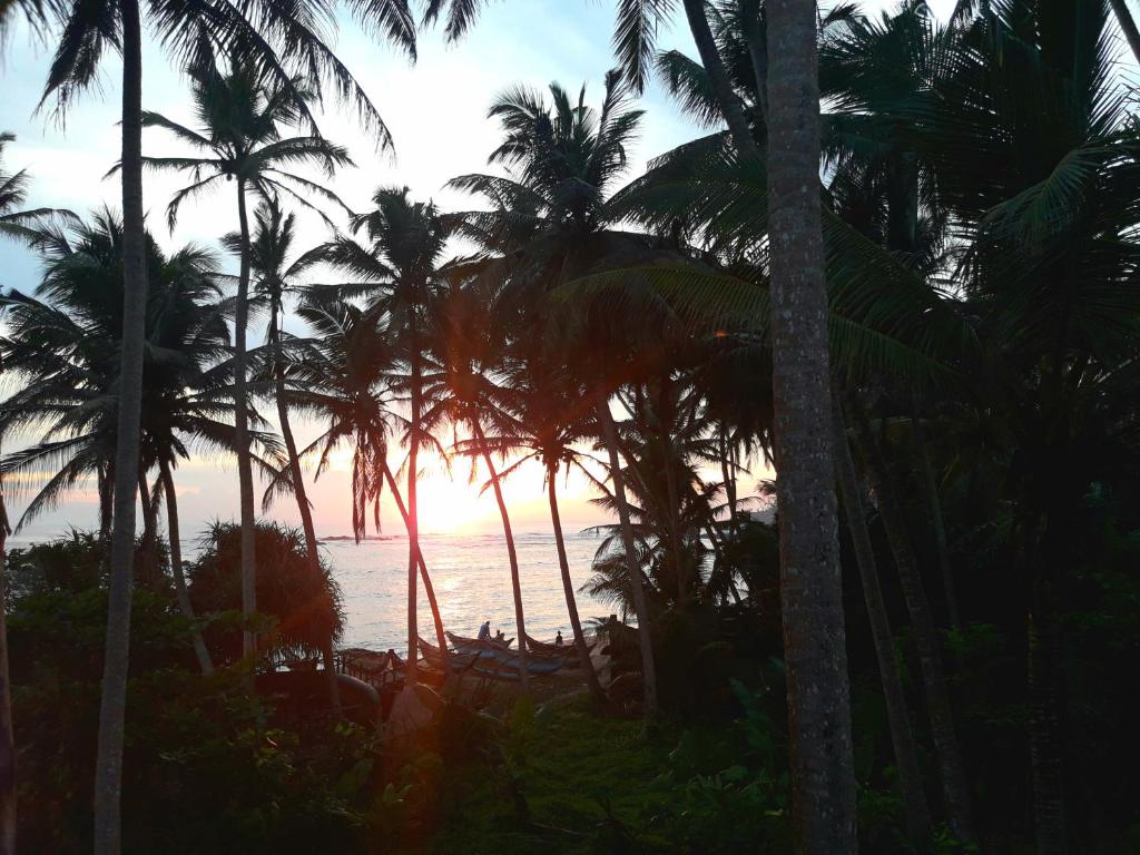 SunRay Rest - Beach View Homestay - 16