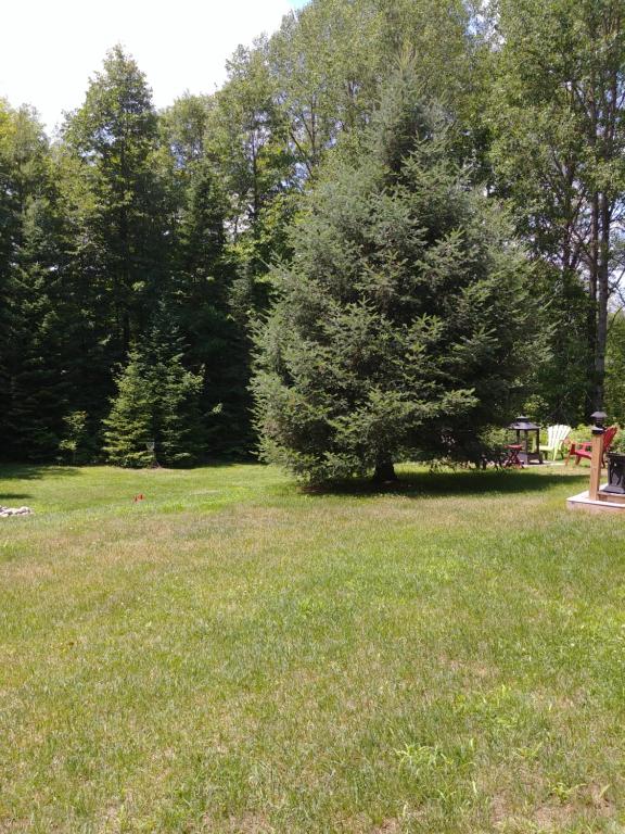 a park with a tree in the middle of a field at Suite in the Bush-Private Apartment in Bancroft