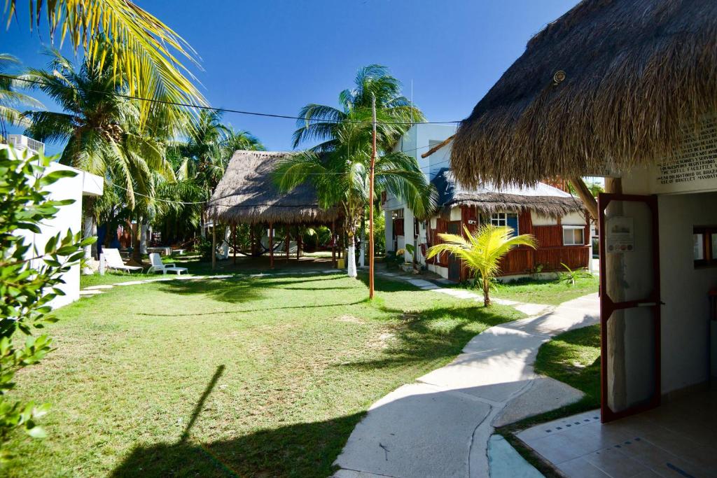 a yard with palm trees and a building with a straw roof at Golden Paradise Hostel in Holbox Island