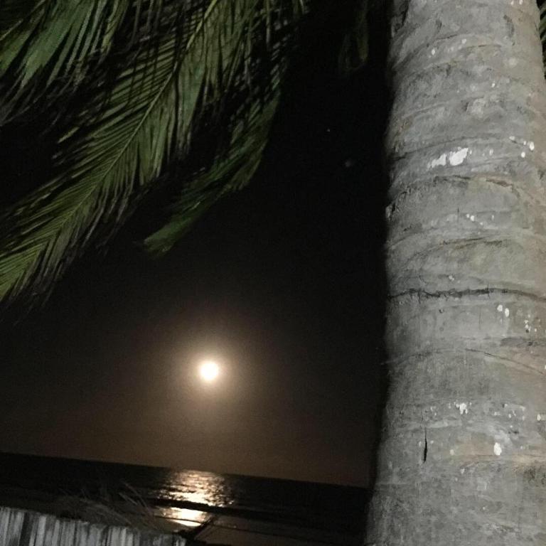  Parador Algaroba