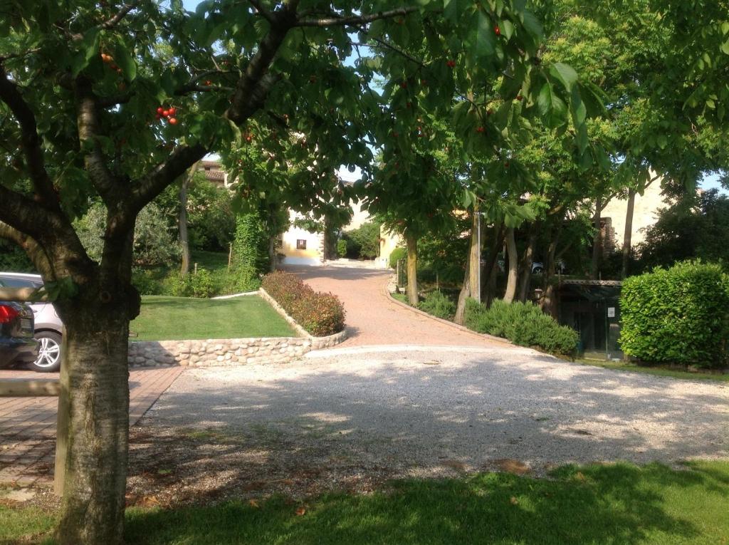 Zahrada ubytování Agriturismo Borgo di Calmasino