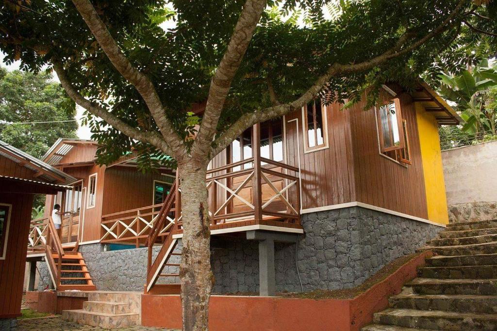 a building with stairs and a tree in front of it at GUEST HOUSE QUINTA NATURAL Bangalots in Graça