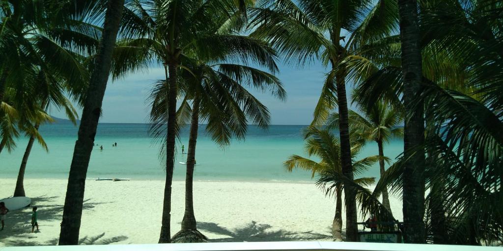 a view of a beach with palm trees and the ocean at Bluewaves Beach House in Boracay