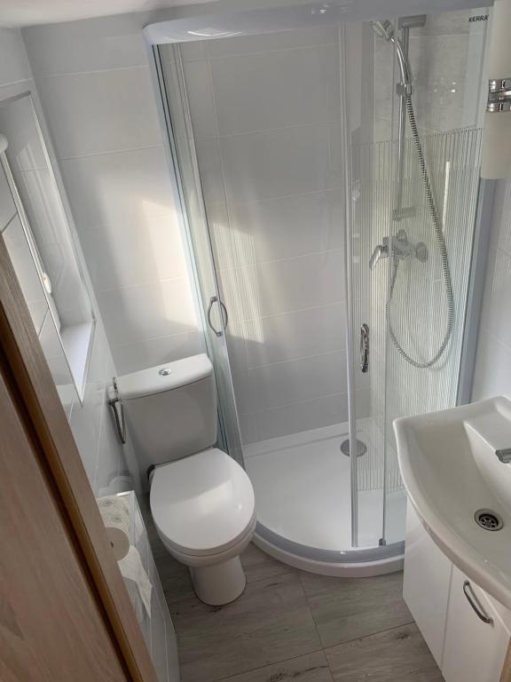 Łabędź Jastarnia - 8