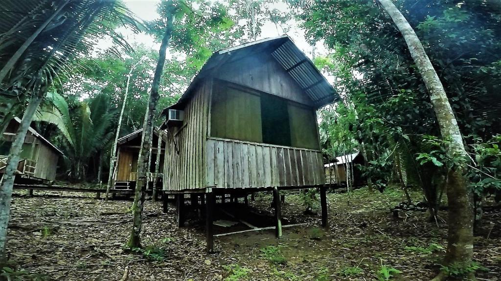  Amazon Juma Eco Adventure