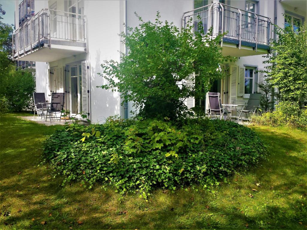 ein Busch vor einem Gebäude mit einem Baum in der Unterkunft Eine schöne 3-Zimmer-Wohnung mit Ostsee-Zugang! in Juliusruh