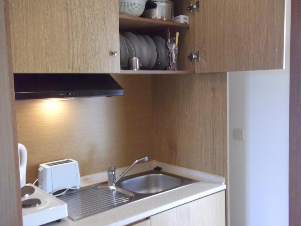 Kuchyň nebo kuchyňský kout v ubytování Palatino Studios
