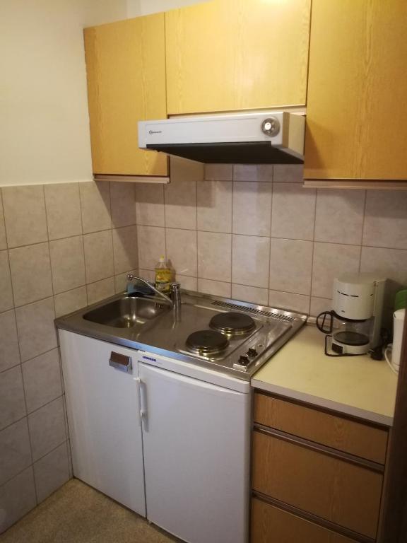 Kuchyň nebo kuchyňský kout v ubytování Bergbauernhof Schluder