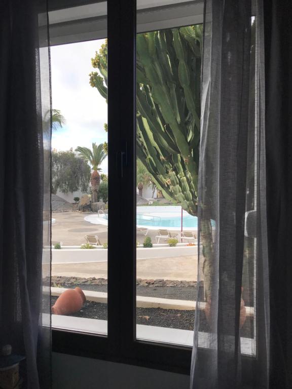 Fotografia z galérie ubytovania CASA ROSA v destinácii Costa Teguise