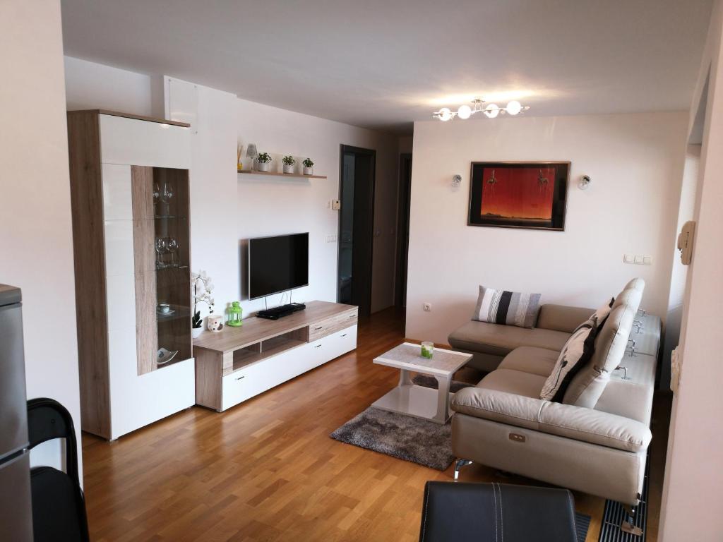 Apartma Lucijana في موجسترانا: غرفة معيشة مع أريكة وتلفزيون