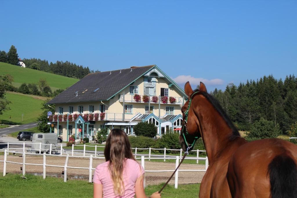 Hosté ubytování Narnhoferwirt