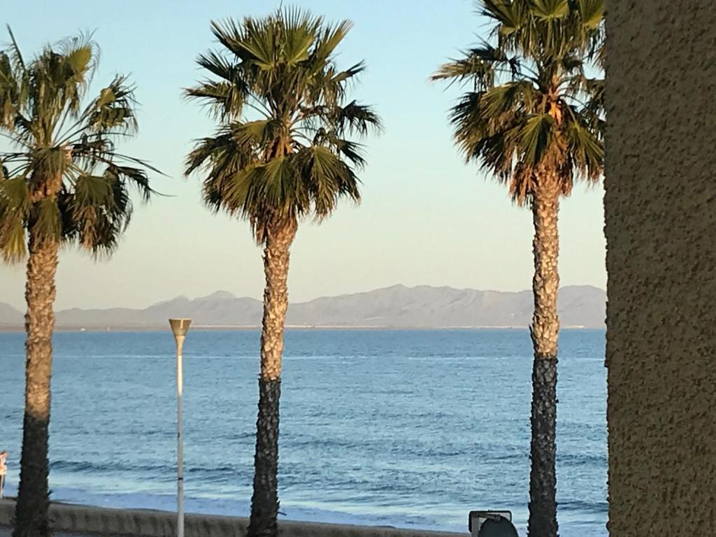 Blick auf das Meer von einem Resort mit Palmen in der Unterkunft Fercamar Costacabana in Almería