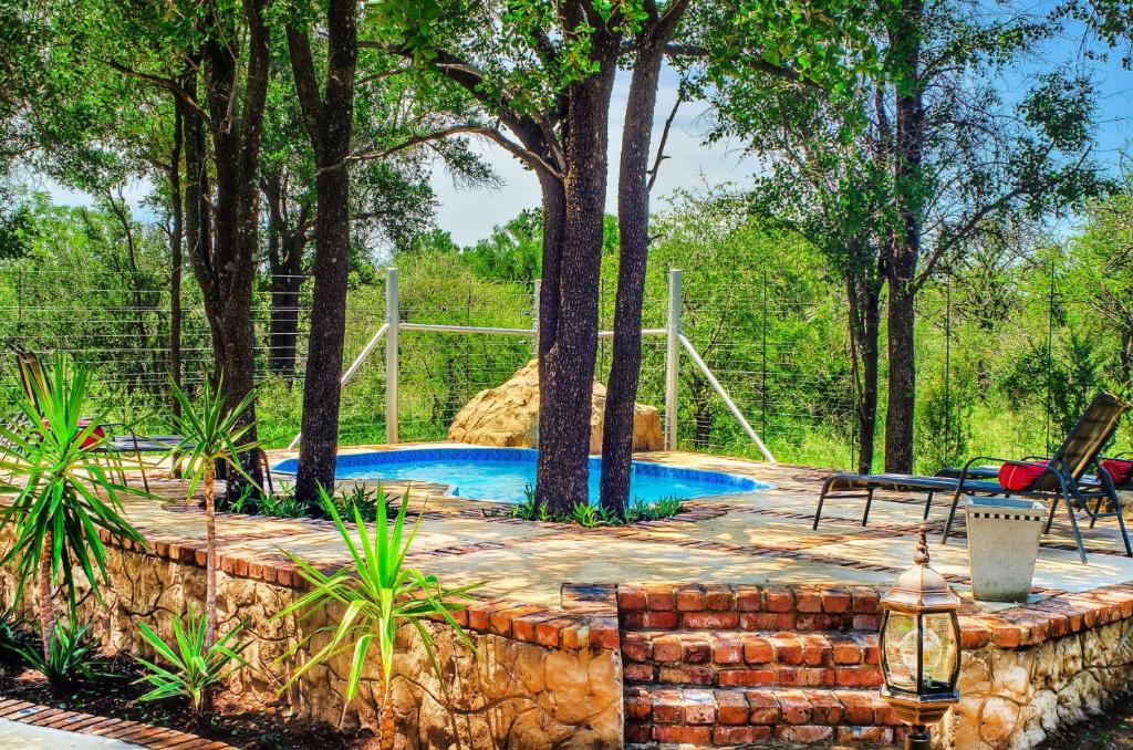 Bassein majutusasutuses Tshikwalo Game Lodge või selle lähedal