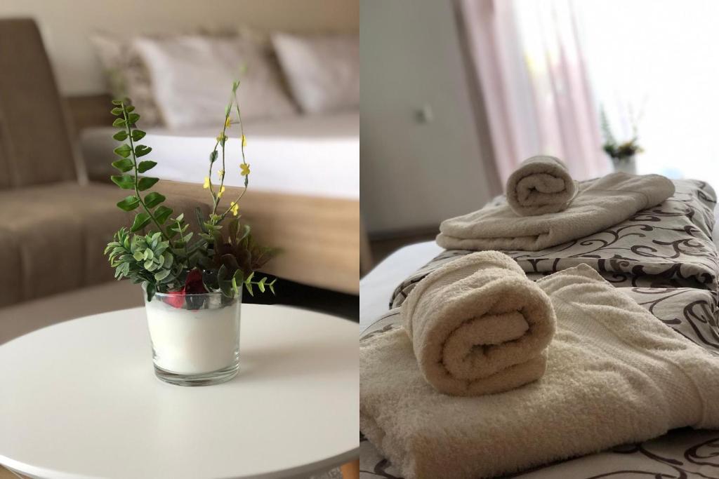 Postel nebo postele na pokoji v ubytování Apartments Ivan