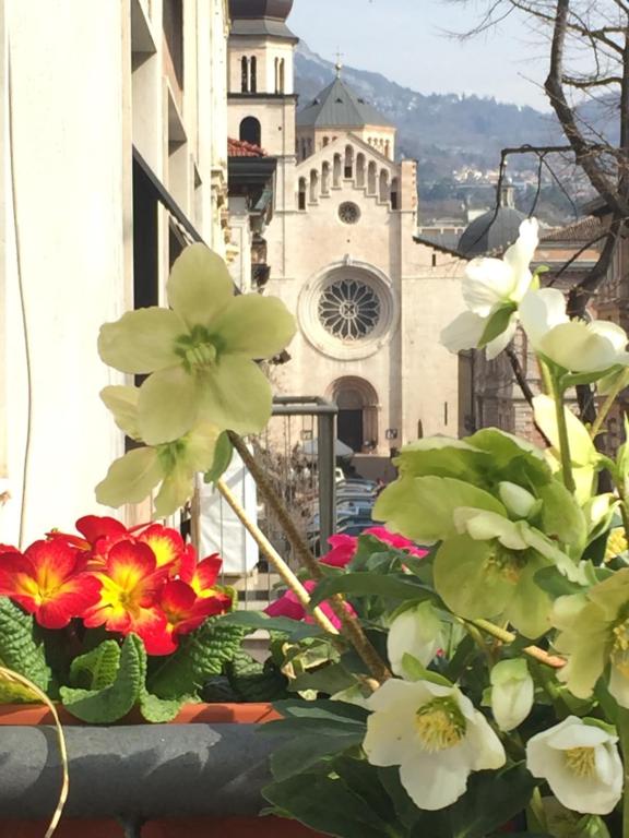 a bunch of flowers in front of a building at B&B Homer Trento in Trento