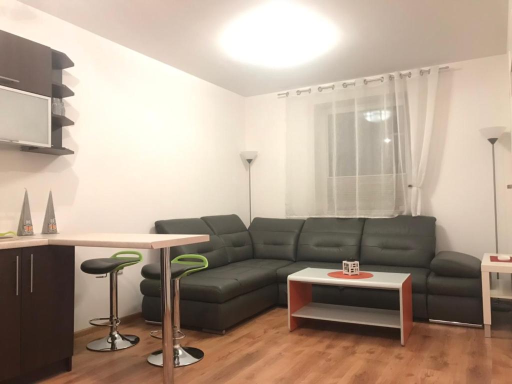 Χώρος καθιστικού στο Apartament Studio Ryska