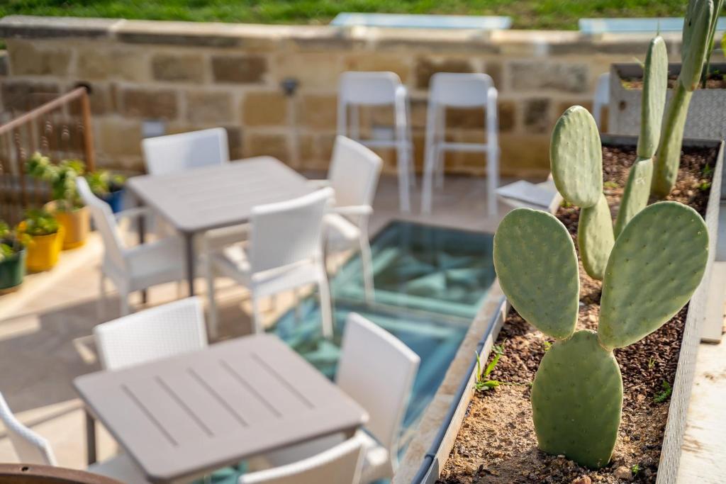 Fotografie z fotogalerie ubytování Ta Pinu Guesthouse v destinaci Għarb