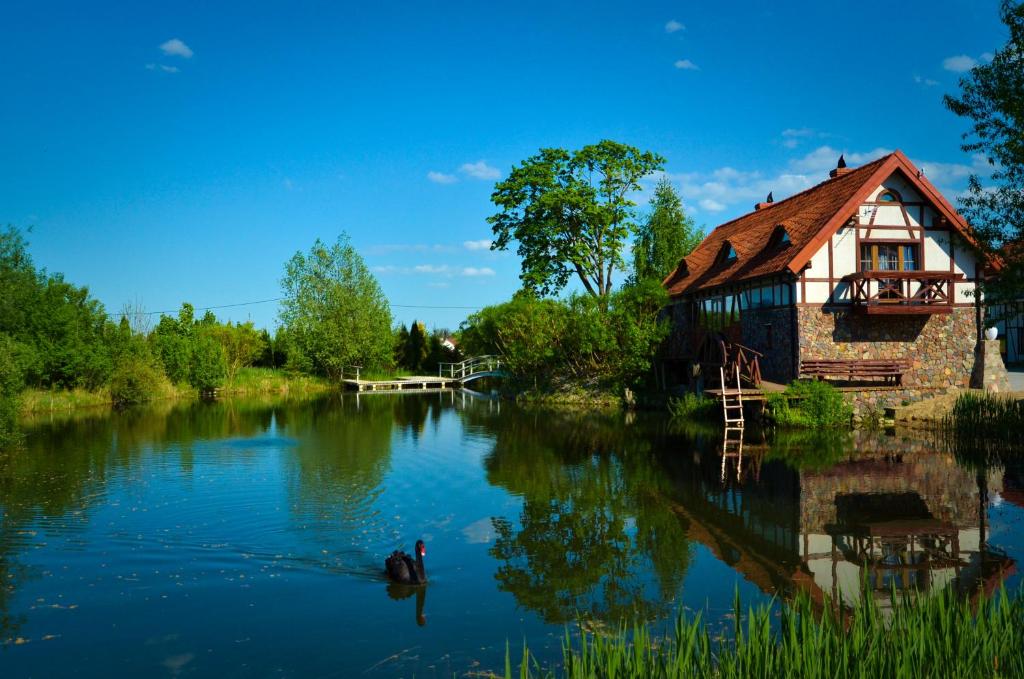 ein Haus inmitten eines Flusses in der Unterkunft Dom na wodzie Mazury in Dźwierzuty
