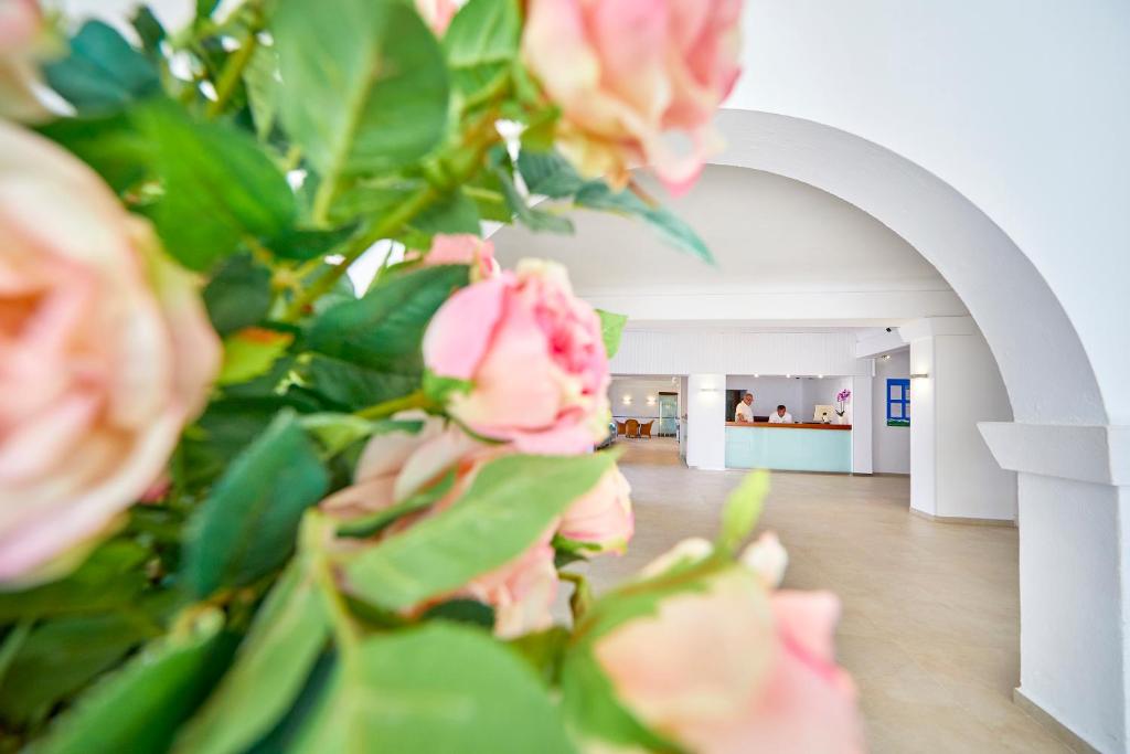 Fotografie z fotogalerie ubytování Gavimar Cala Gran Hotel and Apartments v destinaci Cala d´Or