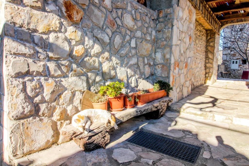 Vonkajšia záhrada v ubytovaní Apartman Matošin