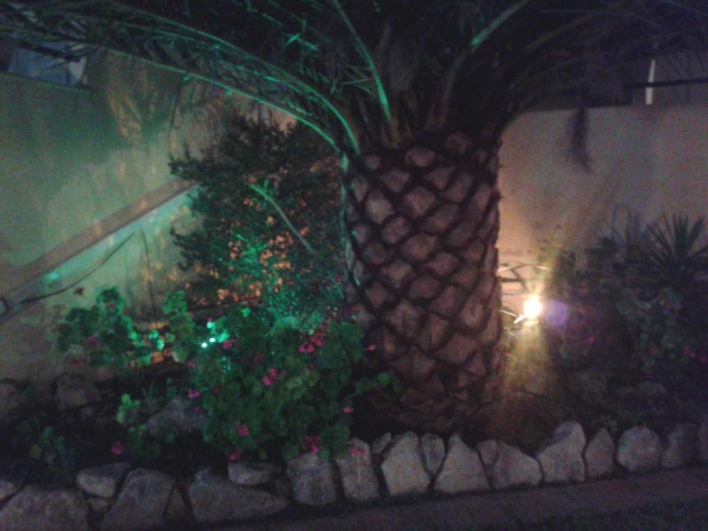 Zahrada ubytování Hotel Giorgio