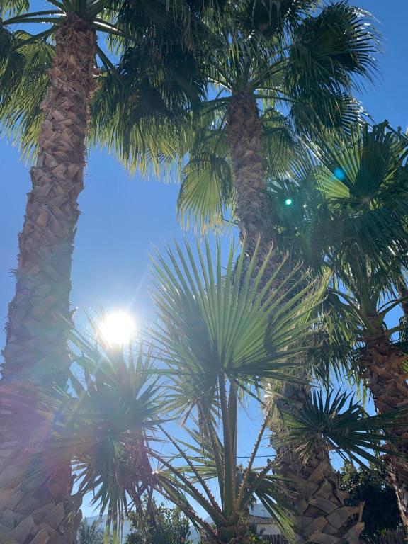 Casa Alestelou, Orba – Updated 2022 Prices